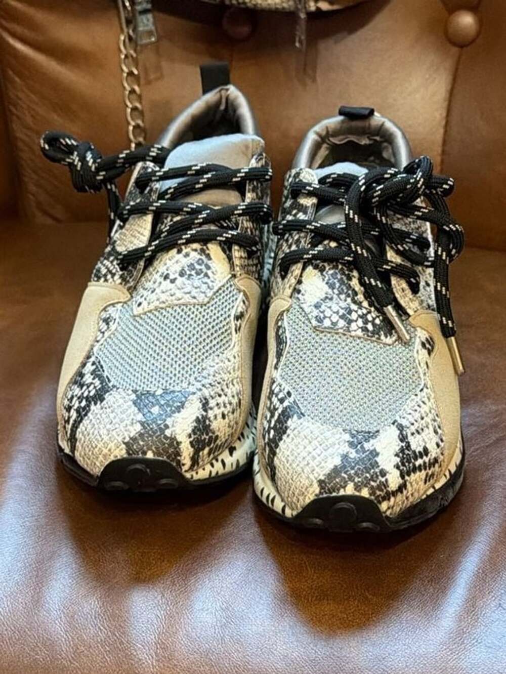 Steve Madden Cliff Sneakers Size 7M Natural Snake Silver